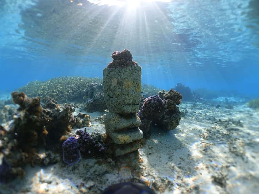 Moorea: Sea Scooter Snorkeling Tour - Should you book the sea scooter tour?
