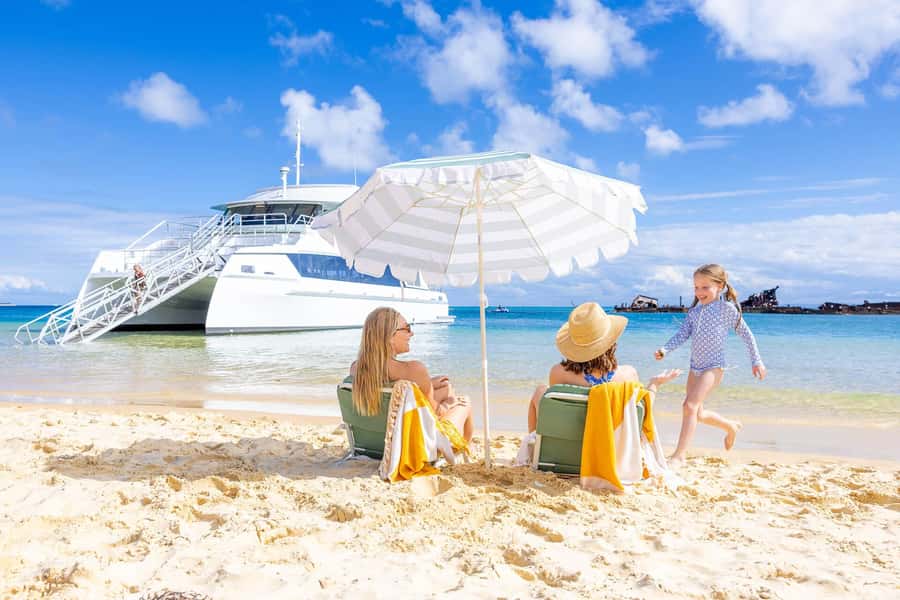 Moreton Island: Dolphin & Tangalooma Wrecks Snorkel Cruise - Key points at a glance