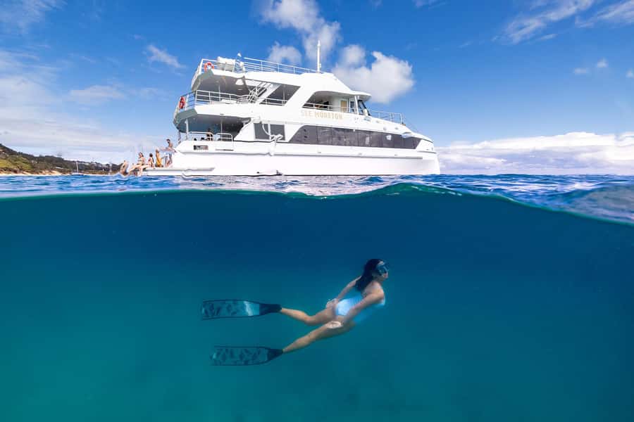 Moreton Island: Dolphin & Tangalooma Wrecks Snorkel Cruise - Five hours around Moreton Island