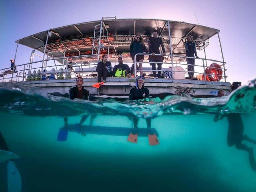 Moreton Island: Tangalooma Day Trip with Snorkeling Tour - Key points to know before booking