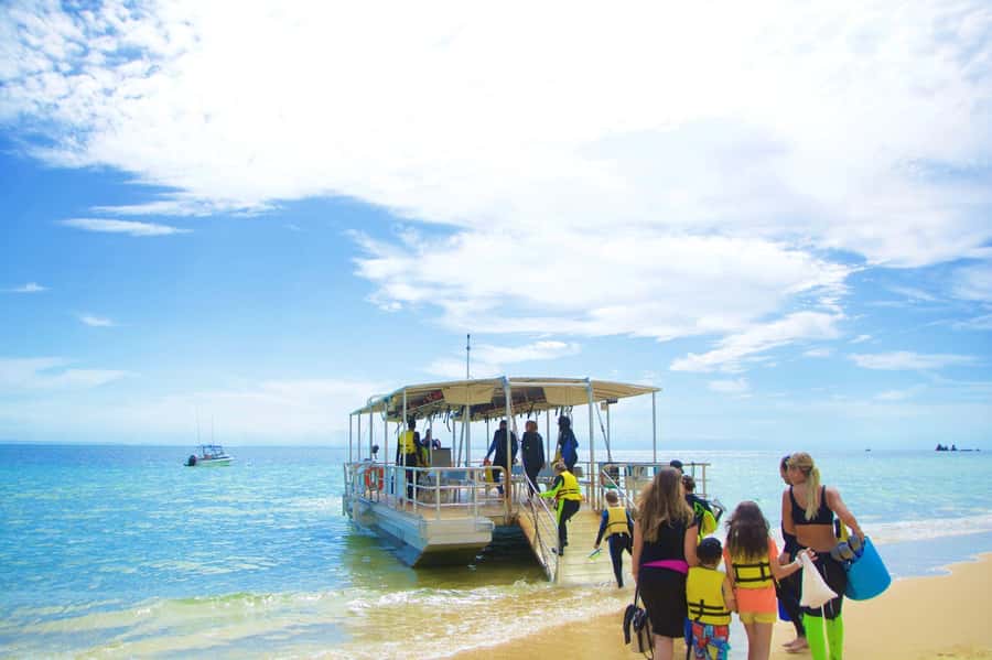 Moreton Island: Tangalooma Day Trip with Snorkeling Tour - Who will enjoy this most?