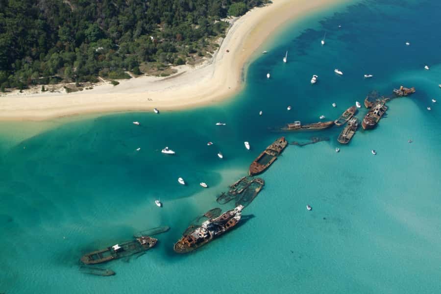 Moreton Island: Tangalooma Day Trip with Snorkeling Tour - Snorkeling the 15 Tangalooma Wrecks