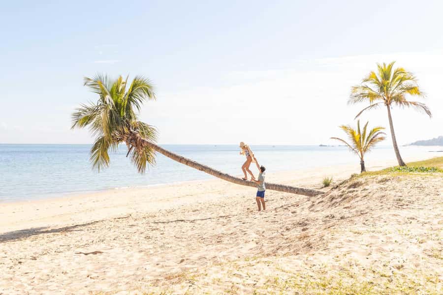Moreton Island: Tangalooma Day Trip with Snorkeling Tour - Is the snorkeling suitable for beginners?