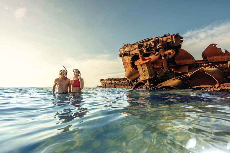 Moreton Island: Tangalooma Day Trip with Snorkeling Tour - The afternoon dolphin presentation