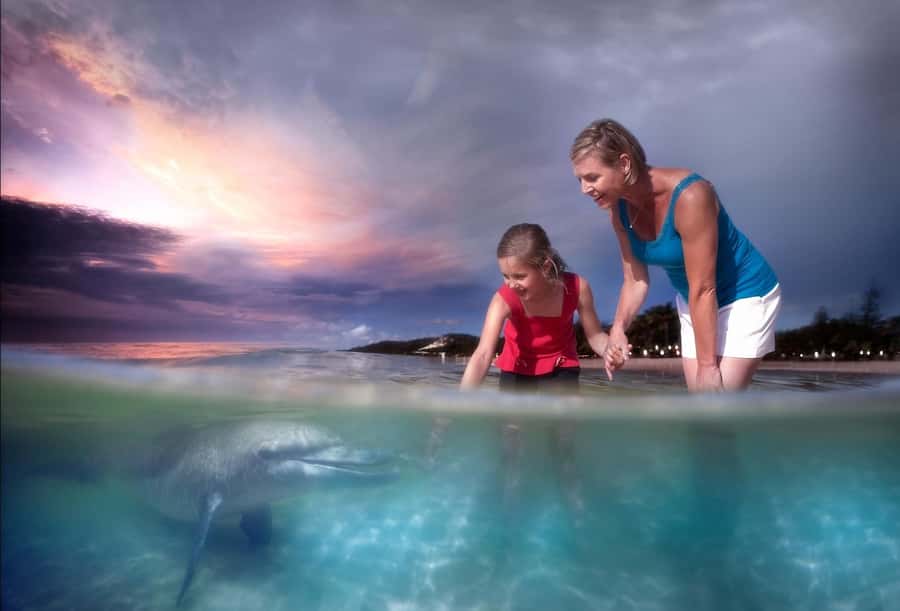 Moreton Island: Tangalooma Snorkeling Tour & Dolphin Feeding - Practical ways to make the day better