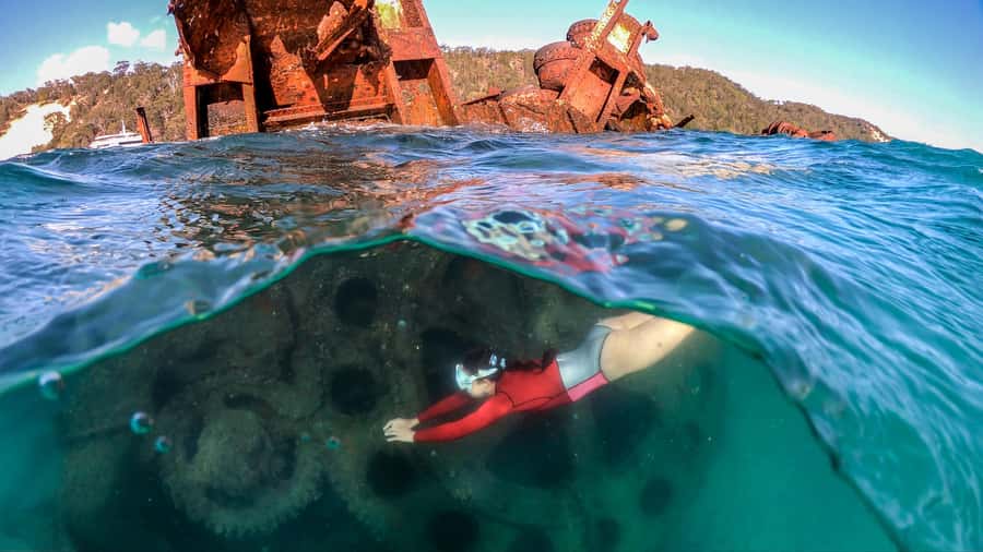 Moreton Island: Tangalooma Snorkeling Tour & Dolphin Feeding - Why this Moreton Island day trip works
