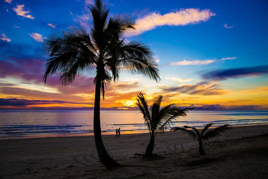 Moreton Island: Tangalooma Snorkeling Tour & Dolphin Feeding - The wait for sunset dolphins