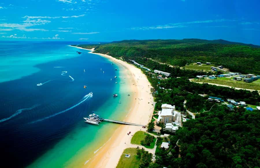 Moreton Island: Tangalooma Snorkeling Tour & Dolphin Feeding - The 75-minute ferry across Moreton Bay