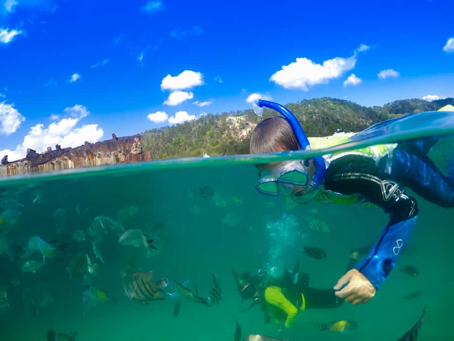 Moreton Island: Tangalooma Snorkelling with Dolphin Viewing - Key points to know before booking