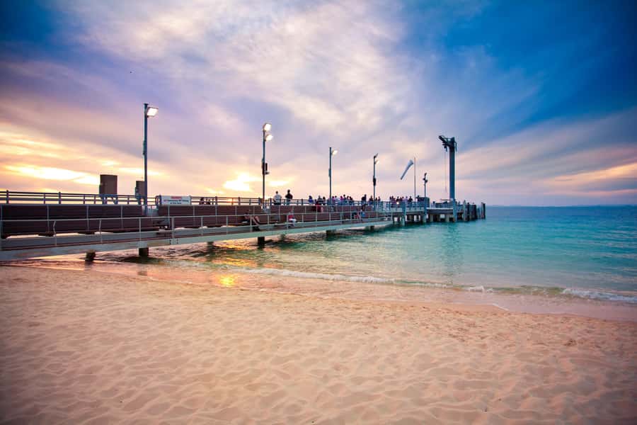 Moreton Island: Tangalooma Snorkelling with Dolphin Viewing - Who will enjoy this Moreton Island day trip?