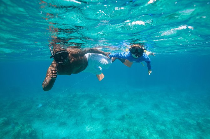 Morning Half Day Cruise from Providenciales with Snorkeling and Iguana Island - What the $159.30 price really covers