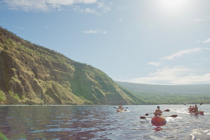 Morning Magic Kayak and Snorkel Adventure in Kealakekua Bay - Is $257.85 a fair price?