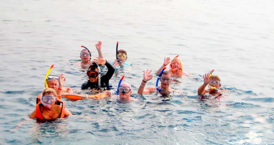 Muscat: 4-Hour Snorkeling Tour with Dolphin watching - Shallow water with a useful mix of marine life