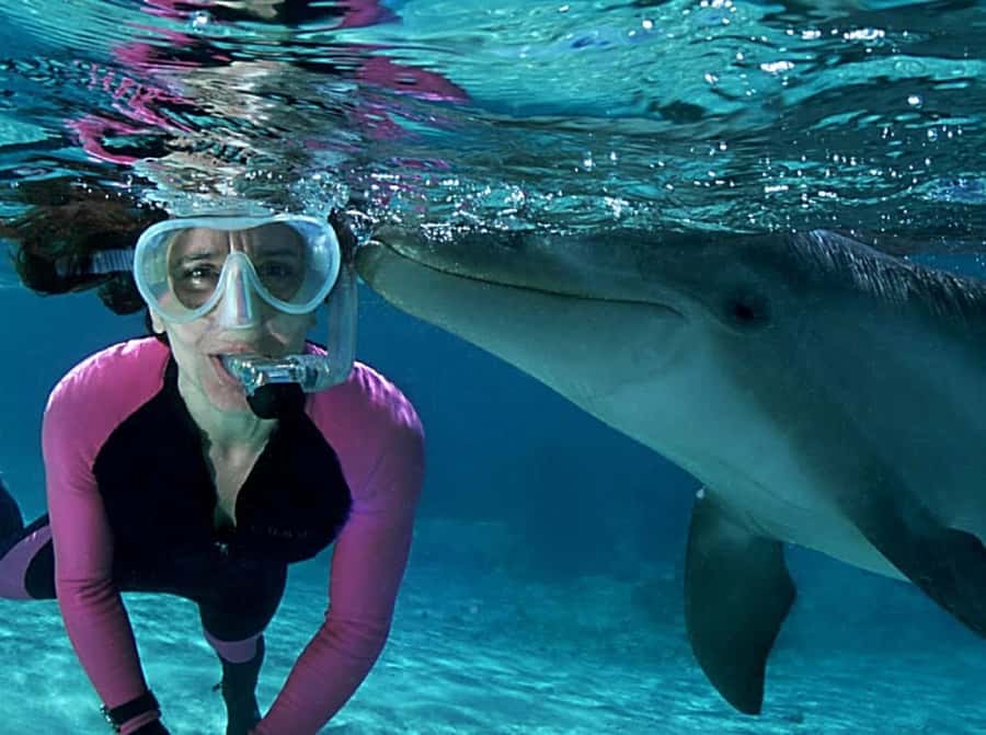 Muscat: 4-Hour Snorkeling Tour with Dolphin watching - What the snorkeling is really like