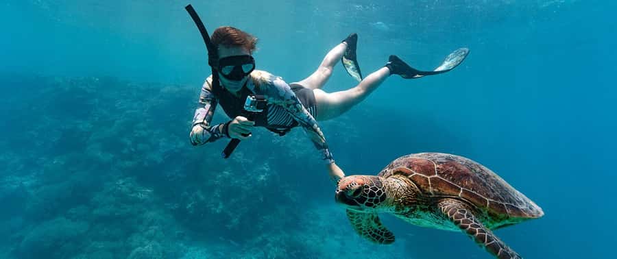 Muscat: 4-Hour Snorkeling Tour with Dolphin watching - Practical booking details that matter