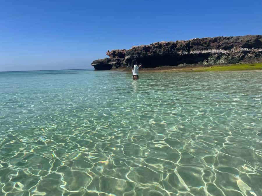 Muscat: Daymaniat Islands Snorkeling Trip with Brunch - Key points to know before you book
