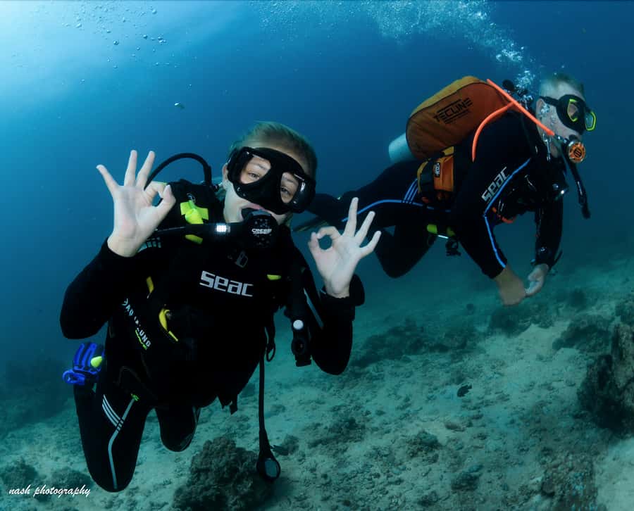 MUSCAT: Daymaniyat Island Snorkeling & Try-Dive + BBQ Lunch - Is $165 fair for seven hours?