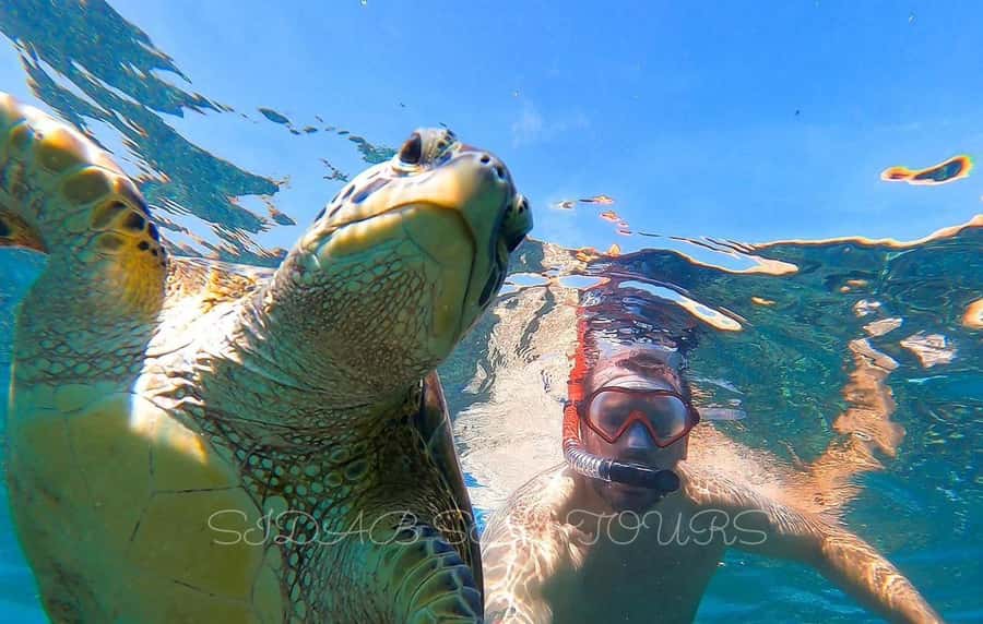 Muscat: Daymaniyat Island Snorkeling with Turtles Tour - Why Daymaniyat Island is worth the boat ride