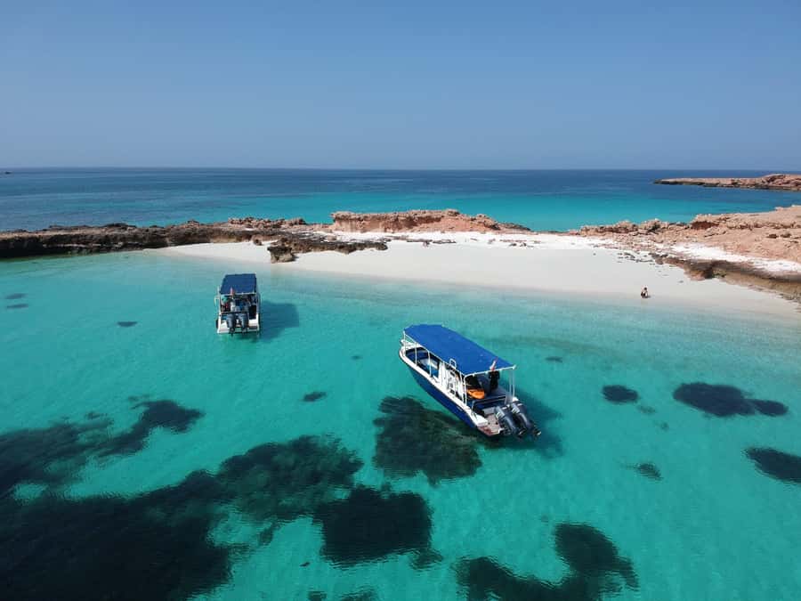 Muscat: Daymaniyat Island Snorkeling with Turtles Tour - What the crew adds to the experience