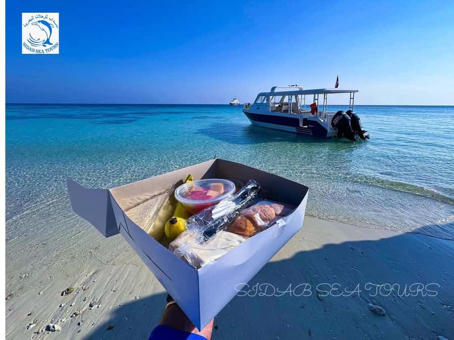 Muscat: Daymaniyat Island Snorkeling with Turtles Tour - Who will enjoy this tour most