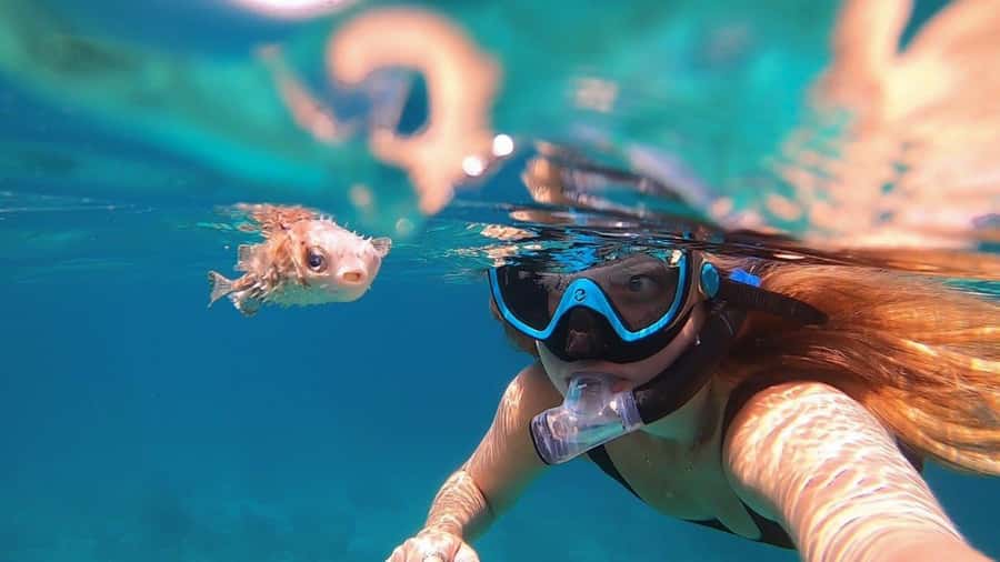 Muscat: Daymaniyat Island Snorkeling with Turtles Tour - Starting from Marina Bandar Al Rowdha