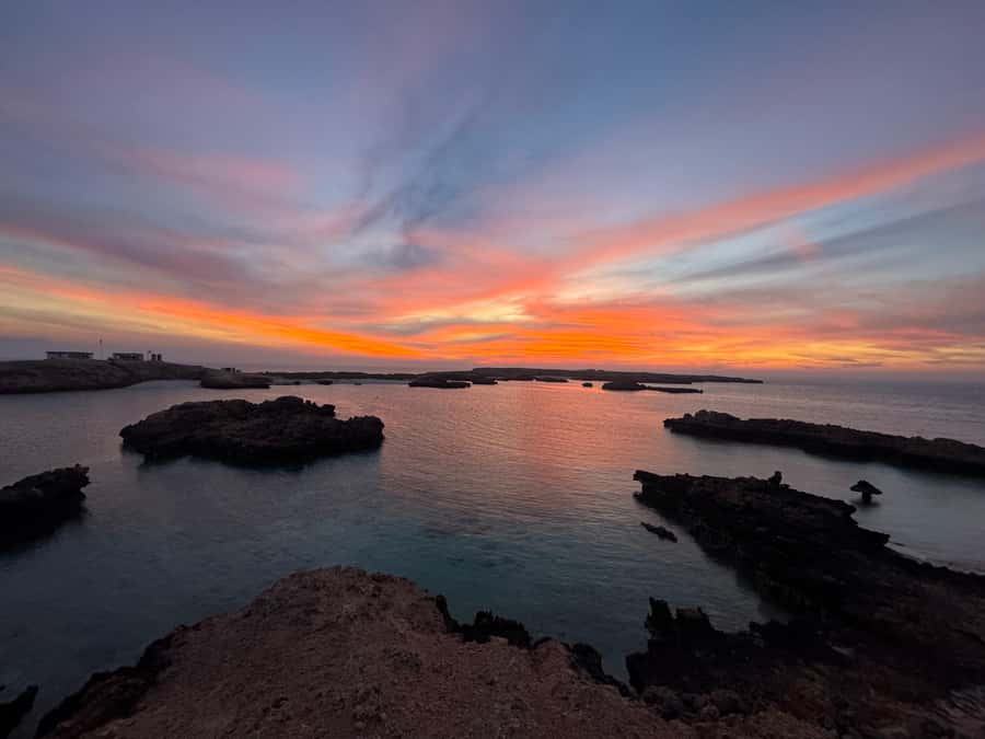 Muscat: Daymaniyat Islands Snorkeling Tour - What the $59 price really covers