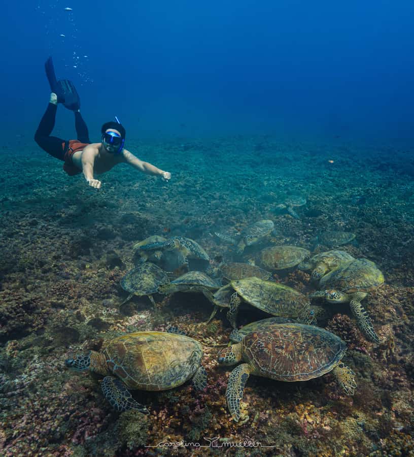 Muscat: Daymaniyat Islands Snorkeling Trip with BBQ Lunch - From Al Mouj Marina to the protected islands