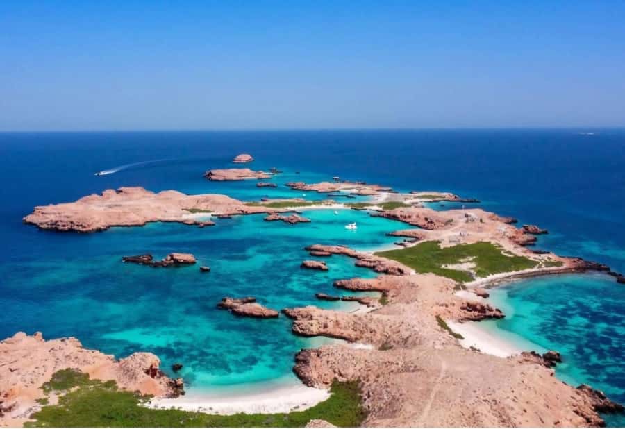 Muscat: Daymaniyat Islands Snorkeling Trip with BBQ Lunch - Turtles without treating the reef like a playground