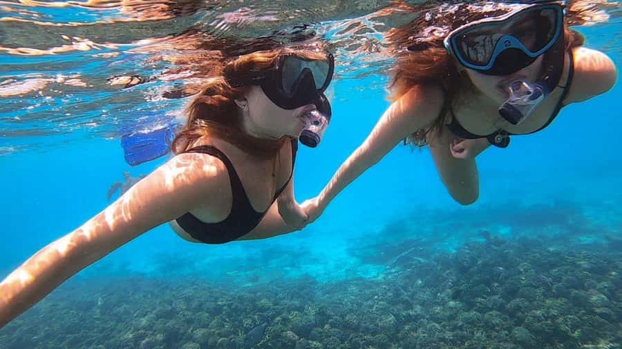 Muscat: Dolphin Watch & Snorkel Excursion - What the $52 price really includes