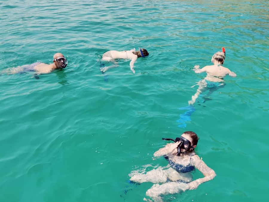 Muscat: Dolphin Watch & Snorkel Excursion - Who should choose this excursion
