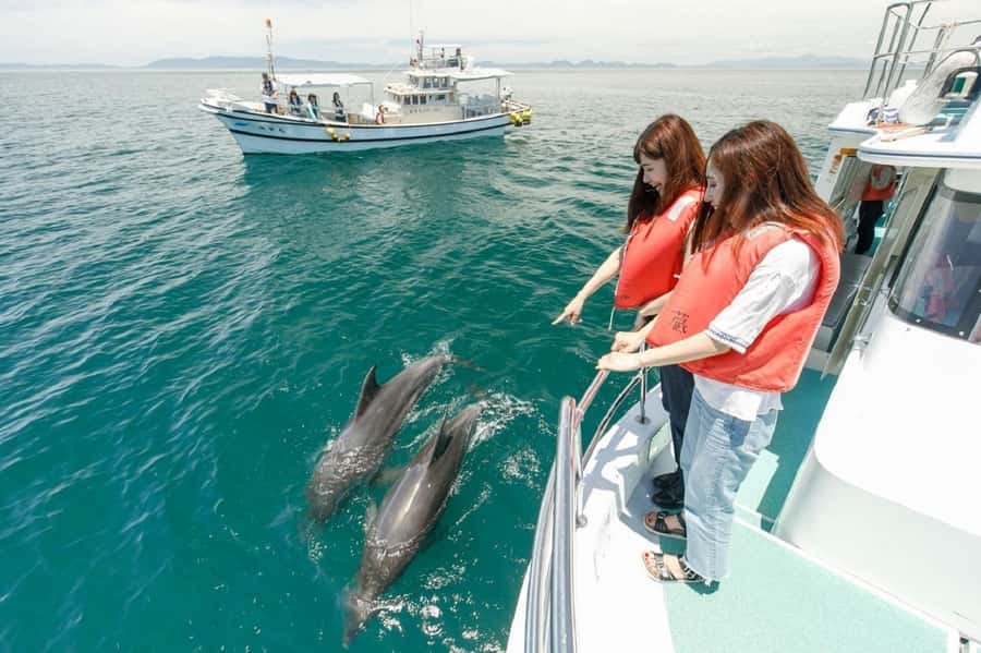 Muscat: Dolphin Watching and Snorkeling Tour - Setting out from Muscat for a marine morning