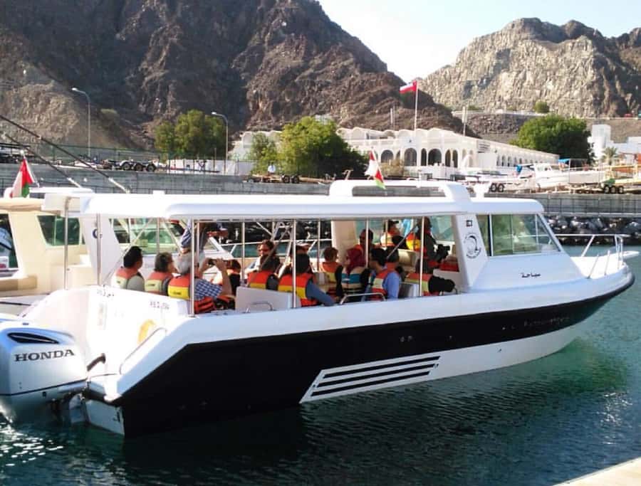 Muscat: Dolphin Watching and Snorkeling Tour - What the transport and timing really mean