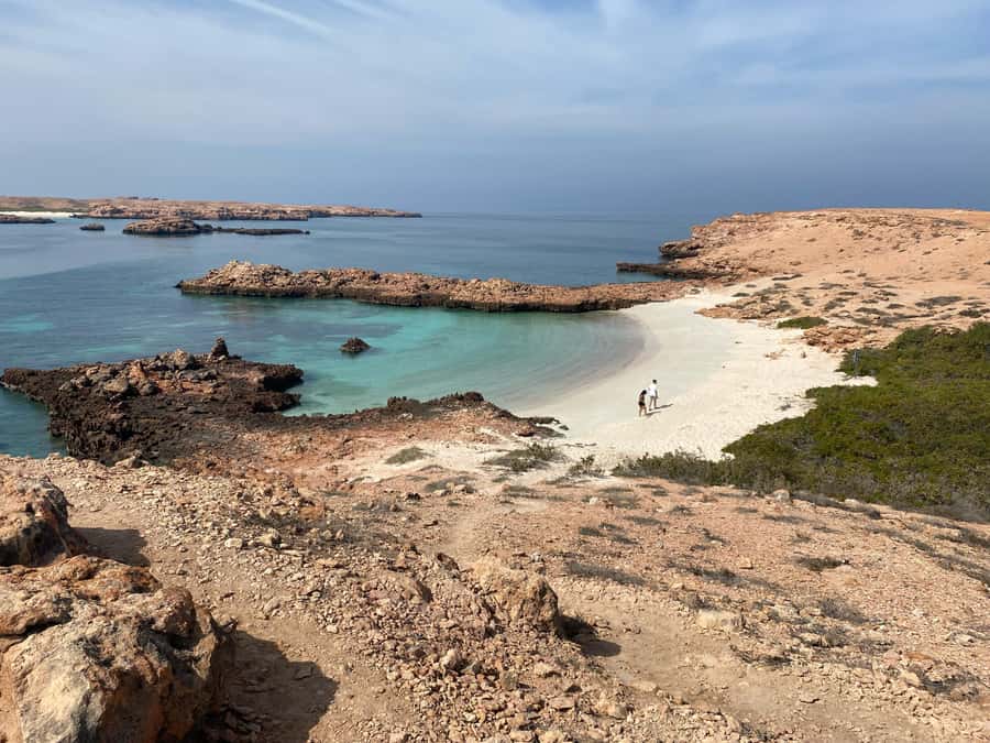 Muscat Oman: Snorkeling adventure to Daymaniyat Island - What the reef is really like