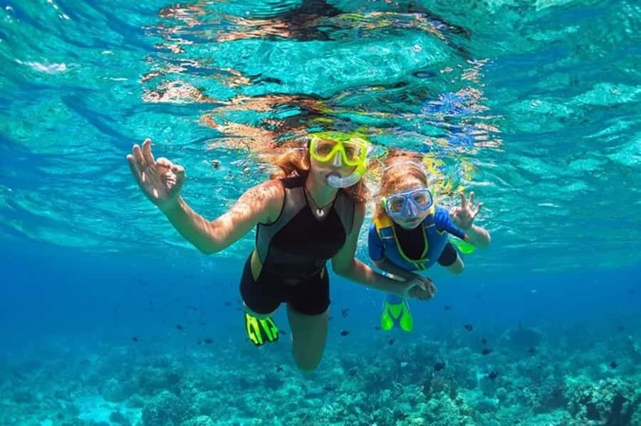 Muscat: Snorkeling and Dolphin Watching Tour - Key points before you book