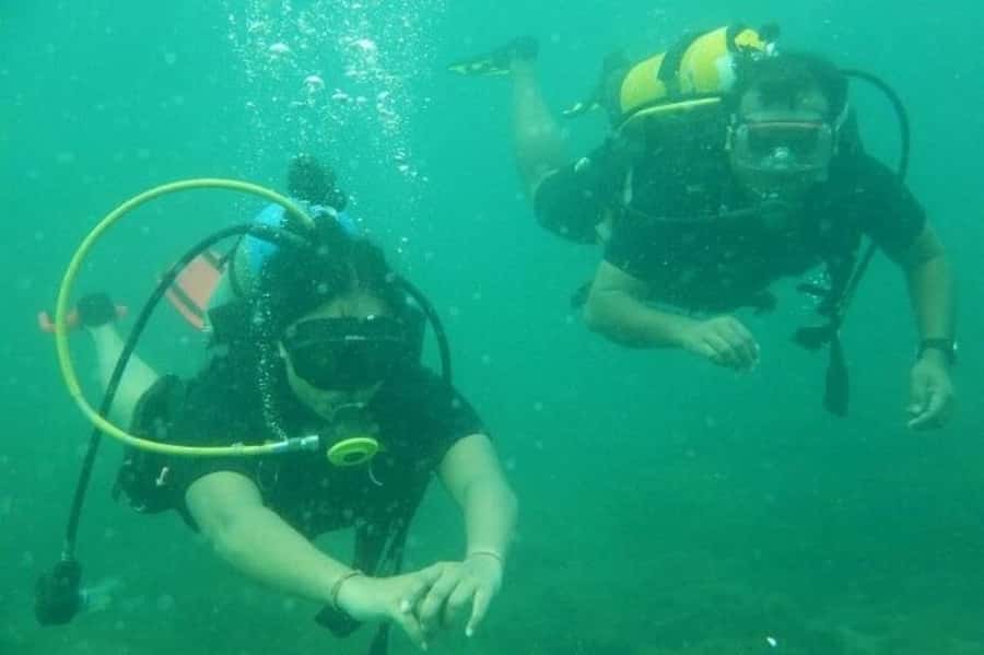 Muscat: Snorkeling and Dolphin Watching Tour - Dolphin watching in Muscat’s coastal waters