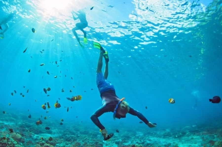 Muscat: Snorkeling and Dolphin Watching Tour - The boat ride and the feel of the outing