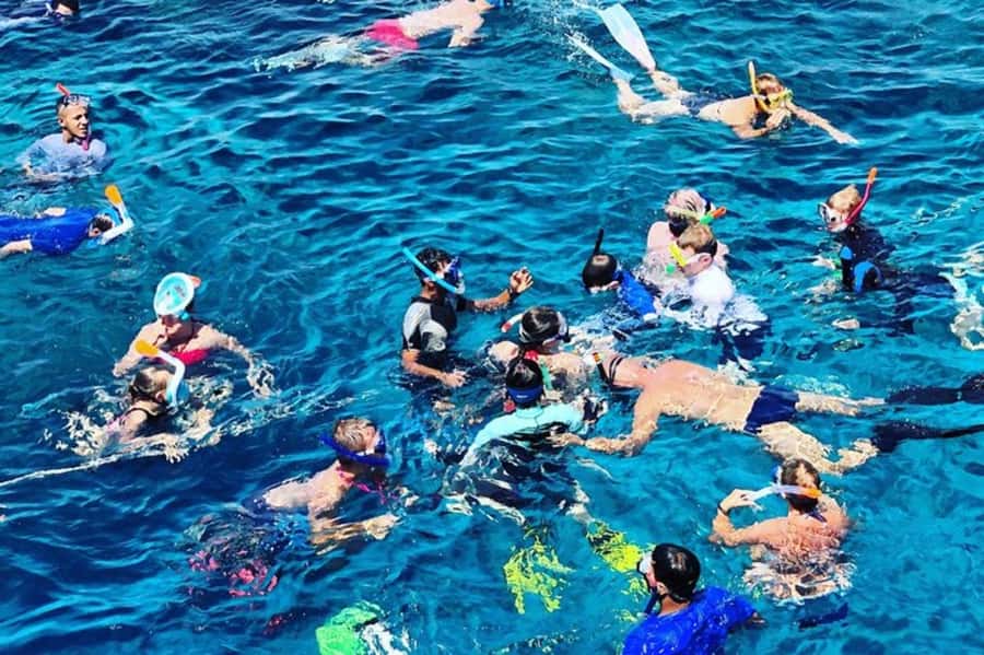 Muscat: Snorkeling and Dolphin Watching Tour - What is included for $50