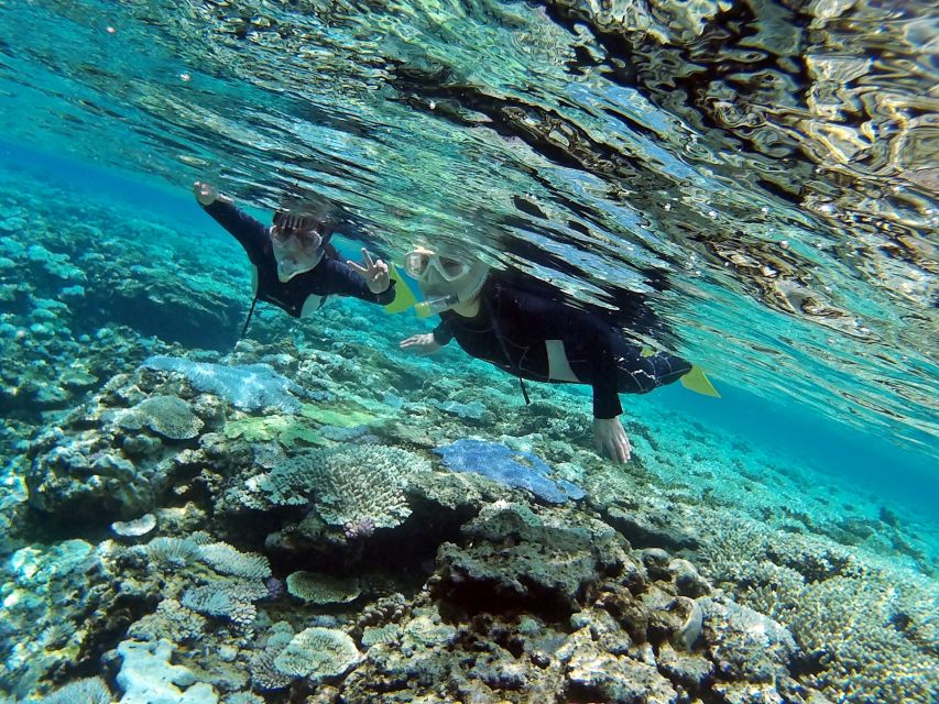Naha, Okinawa: Keramas Island Snorkeling Day Trip with Lunch - Is this good for families and first-time snorkelers?