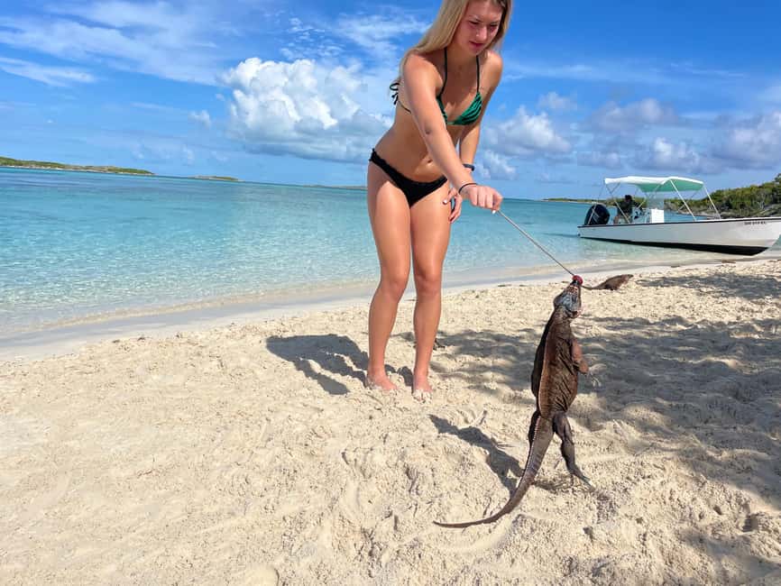 Nassau: 3 Islands Boat w/ Swimming Pigs, Snorkeling & Turtle - Is $175 a fair price?
