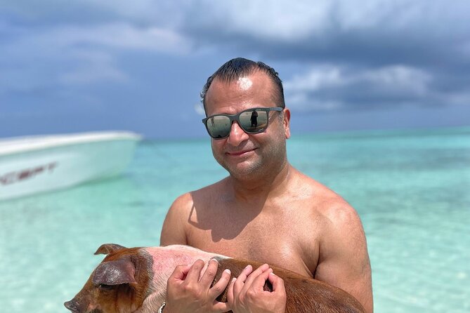 Nassau: 3 islands Pigs,Turtles,Snorkel & Beach Club with lunch - Who will get the most from this $175 tour