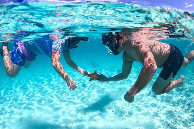 Nassau: 3 islands Pigs,Turtles,Snorkel & Beach Club with lunch - Athol Island and the swimming pigs