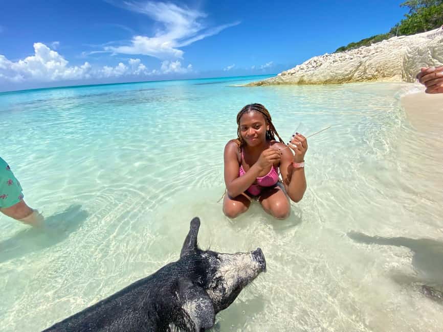 Nassau: 3 Islands Tour, Snorkel, Pig Beach, Turtles & Lunch - Green Cay is the quieter wildlife stop