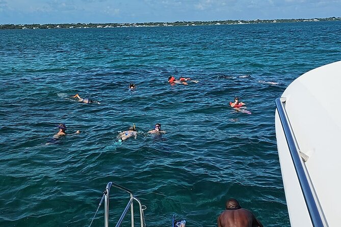 Nassau 3-stops: Snorkeling, Swimming Pigs, Turtles & Lunch - Green Cay and the search for turtles