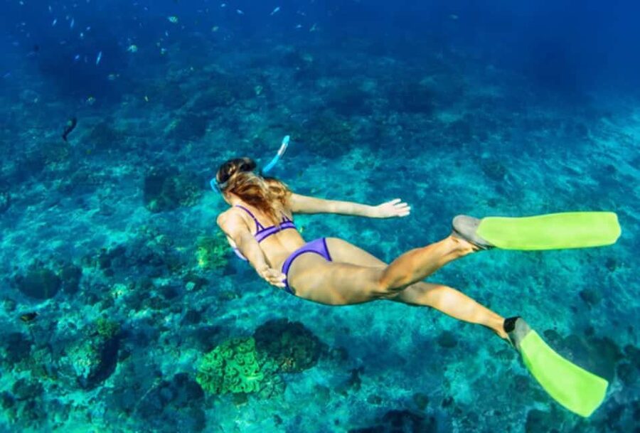 Nassau: Catamaran Sail and Snorkel Tour - Getting to slip number 7 on Paradise Island