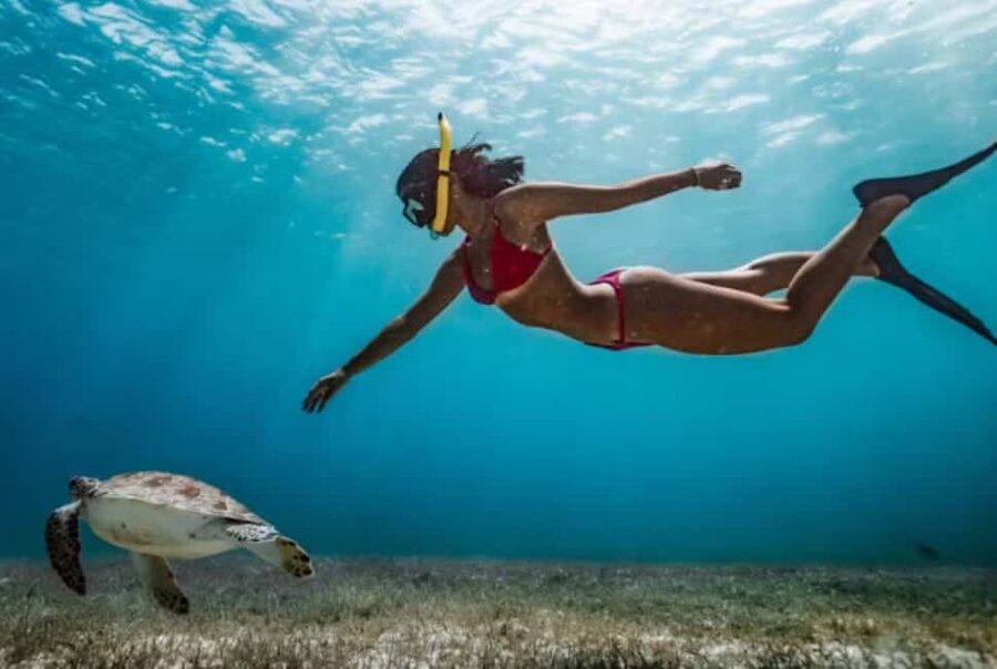 Nassau: Catamaran Sail and Snorkel Tour - Safety, equipment, and time in the water