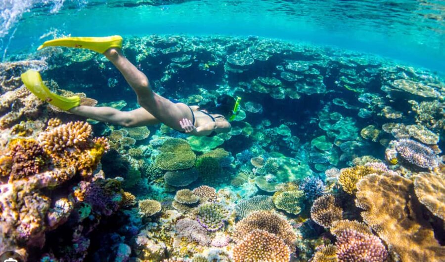 Nassau: Catamaran Sail and Snorkel Tour - Who will enjoy this catamaran outing