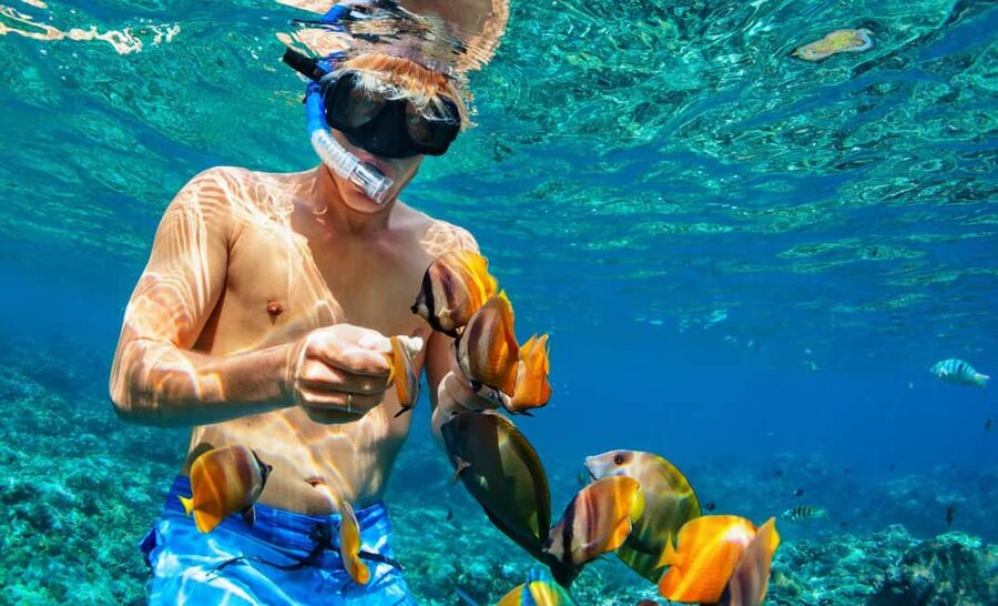 Nassau: Catamaran Sail and Snorkel Tour - FAQ