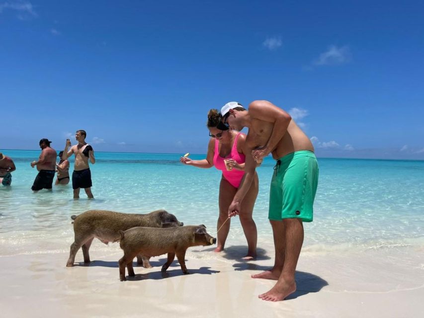 Nassau: Half-Day Guided Cay Cruise, Sea Life Watch & Snorkel - Athol Island Snorkeling