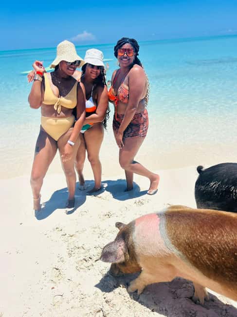 Nassau: Half-Day Swimming Pigs, Reef Snorkel & Beach Club - The practical call on booking