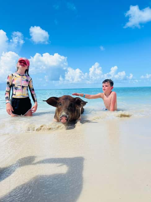 Nassau: Half-Day Swimming Pigs, Reef Snorkel & Beach Club - A fast boat ride from Nassau to the reef
